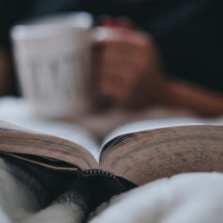 Hauskreis aufgeschlagene Bibel, lesen, Kaffeetasse